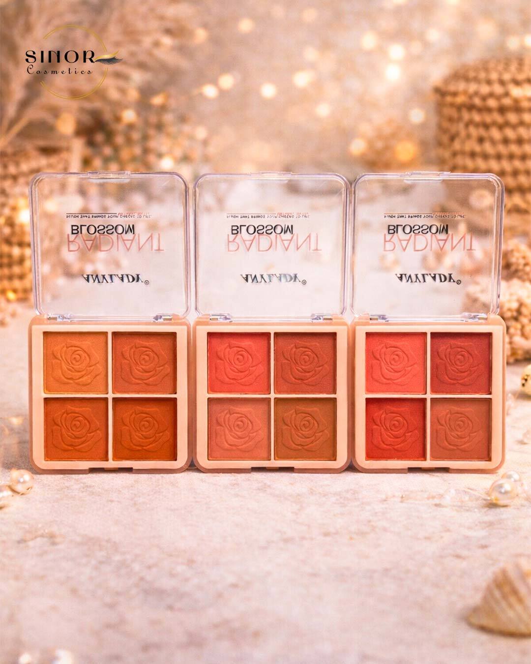 پالت رژگونه 4 رنگ Anylady